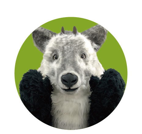 WHAT IS SANTA?