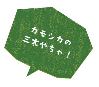 カモシカの三太やちゃ!